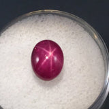 4.7 carat nice Burma Star Ruby - Colonial Gems