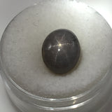 12 carat grey Star Sapphire Cabochon - Colonial Gems
