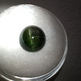 5.3 carat Kornerupine Cats Eye Gem - Colonial Gems