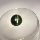 3.9 Carat Russian Cats Eye Diopside Gemstone - Colonial Gems
