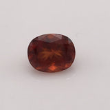 3.9 carat Rare Swedish Bastinasite Gemstone - Colonial Gems