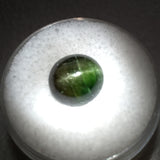 5.3 carat Kornerupine Cats Eye Gem - Colonial Gems