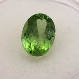 3.2 carat Burma Peridot Gemstone - Colonial Gems
