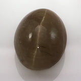 14.5 carat Apatite Cats Eye Gem - Colonial Gems