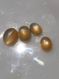 Set of Orange Cats Eye Moonstones! 4 Gem set