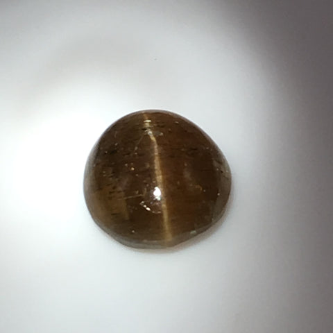 13 carat Cats Eye Apatite Gemstone - Colonial Gems