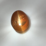 11.9 carat Cat's Eye Apatite Gemstone - Colonial Gems