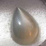 8 carat Grey Moonstone Cats Eye Gem - Colonial Gems