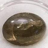 15.4 carat Cats Eye Apatite Cabochone - Colonial Gems