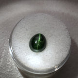 3.5 carat Russian Diopside Cats Eye Gemston - Colonial Gems