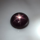 7.7 carat rare Tibetan Star Ruby - Colonial Gems