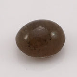 13 carat Cats Eye Apatite Gemstone - Colonial Gems