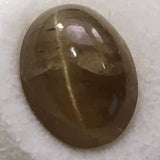 14.5 carat Apatite Cats Eye Gem - Colonial Gems