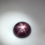 7.7 carat rare Tibetan Star Ruby - Colonial Gems