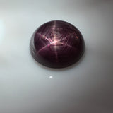7.7 carat rare Tibetan Star Ruby - Colonial Gems