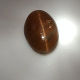11.9 carat Cat's Eye Apatite Gemstone - Colonial Gems