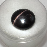 9.6 carat black Cat's Eye Scapolite Gemstone - Colonial Gems