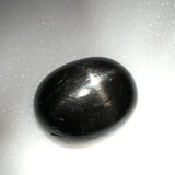 2.9 carat Black Star Sapphire - Colonial Gems