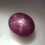3.7 carat Burma Star Ruby - Colonial Gems