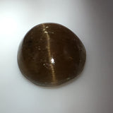 13 carat Cats Eye Apatite Gemstone - Colonial Gems
