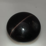 9.6 carat black Cat's Eye Scapolite Gemstone - Colonial Gems